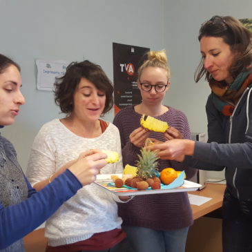 Dégustation de fruits exotiques en formation